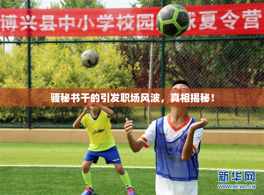 骚秘书干的引发职场风波，真相揭秘！