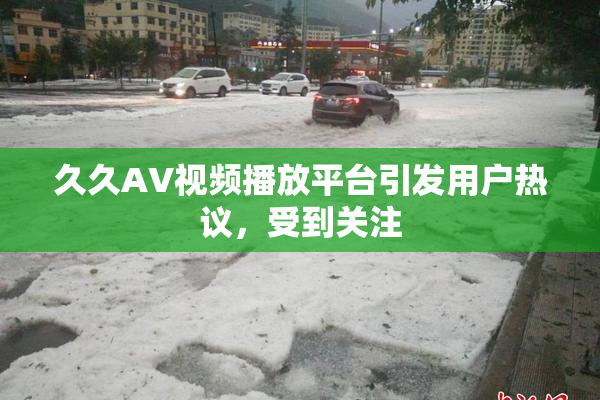 久久AV视频播放平台引发用户热议，受到关注