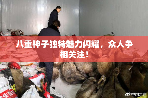 八重神子独特魅力闪耀，众人争相关注！