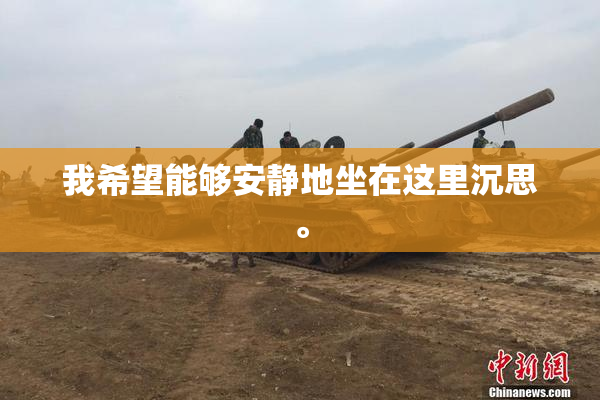 我希望能够安静地坐在这里沉思。