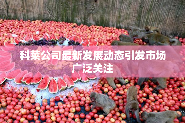 科莱公司最新发展动态引发市场广泛关注