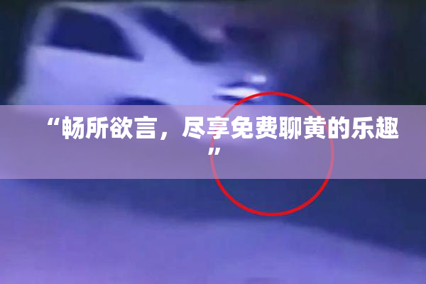 “畅所欲言，尽享免费聊黄的乐趣”