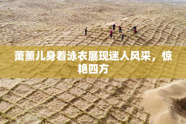 萧薰儿身着泳衣展现迷人风采，惊艳四方