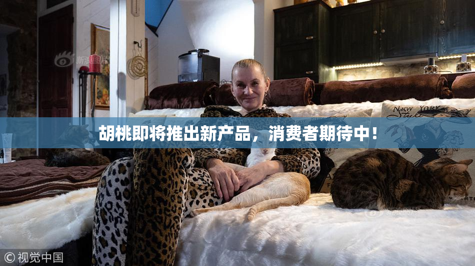 胡桃即将推出新产品，消费者期待中！