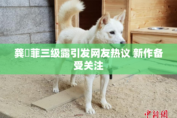 龚玥菲三级露引发网友热议 新作备受关注