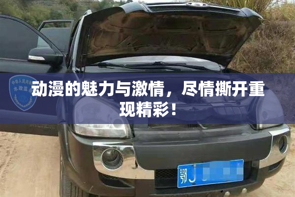 动漫的魅力与激情，尽情撕开重现精彩！