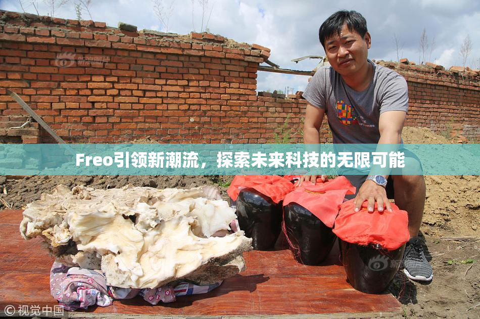 Freo引领新潮流，探索未来科技的无限可能