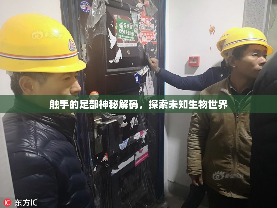 触手的足部神秘解码，探索未知生物世界