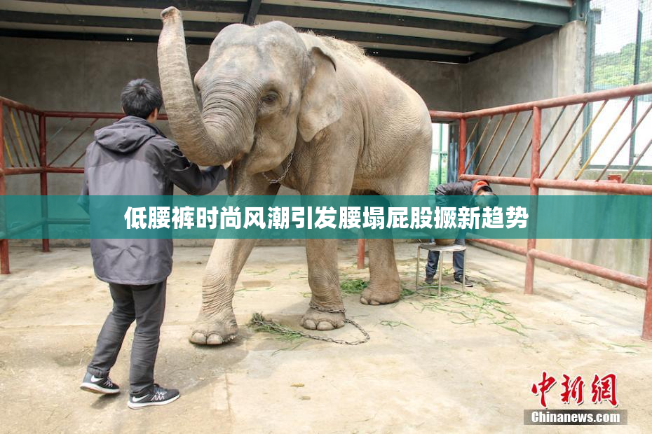 低腰裤时尚风潮引发腰塌屁股撅新趋势