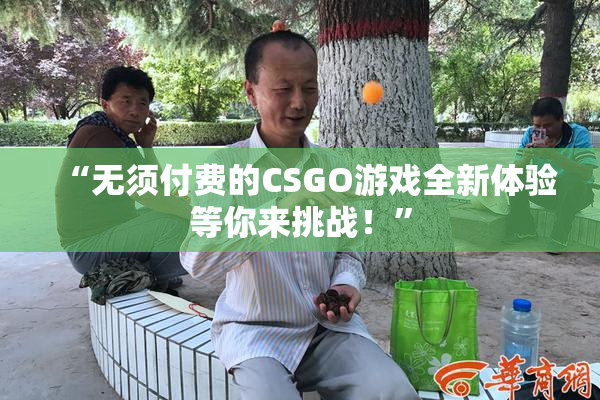“无须付费的CSGO游戏全新体验等你来挑战！”