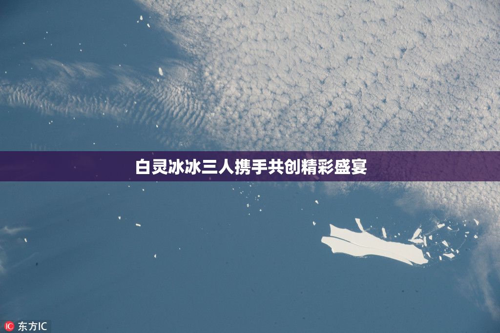 白灵冰冰三人携手共创精彩盛宴