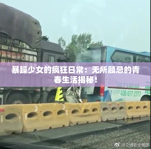 暴躁少女的疯狂日常：无所顾忌的青春生活揭秘！