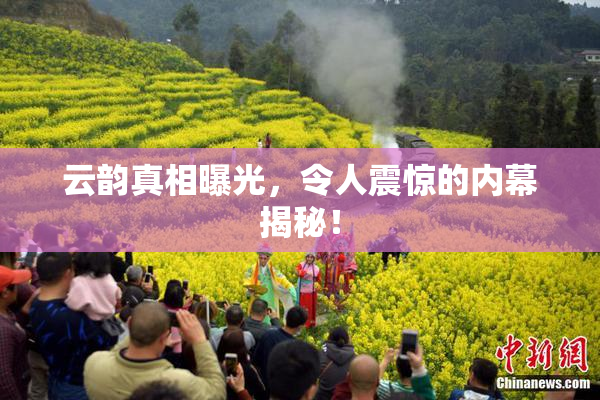 云韵真相曝光，令人震惊的内幕揭秘！