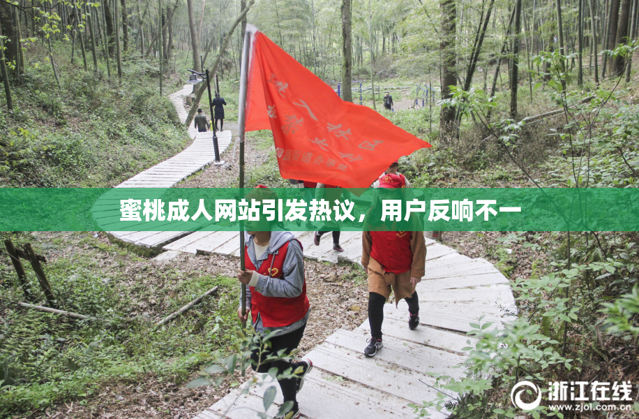 蜜桃成人网站引发热议，用户反响不一