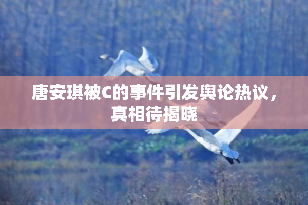 唐安琪被C的事件引发舆论热议，真相待揭晓