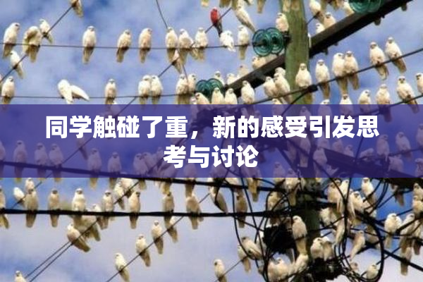 同学触碰了重，新的感受引发思考与讨论