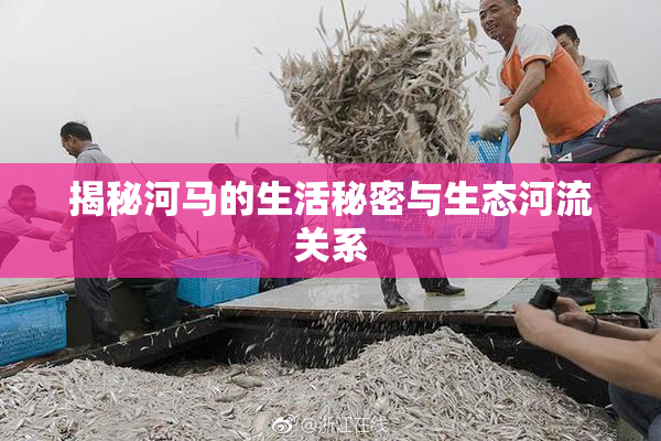 揭秘河马的生活秘密与生态河流关系