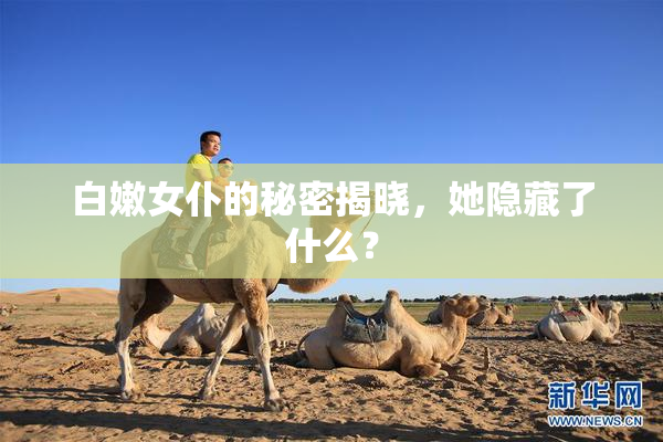 白嫩女仆的秘密揭晓，她隐藏了什么？