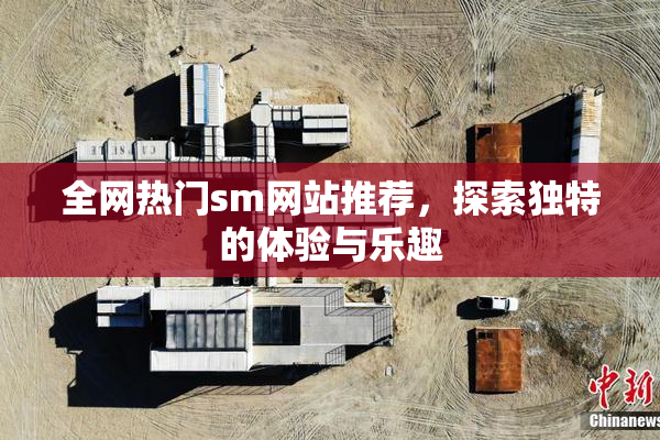 全网热门sm网站推荐，探索独特的体验与乐趣