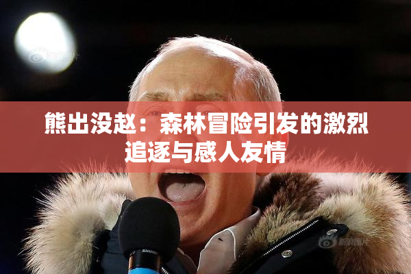 熊出没赵：森林冒险引发的激烈追逐与感人友情