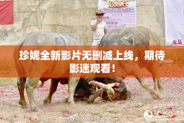 珍妮全新影片无删减上线，期待影迷观看！