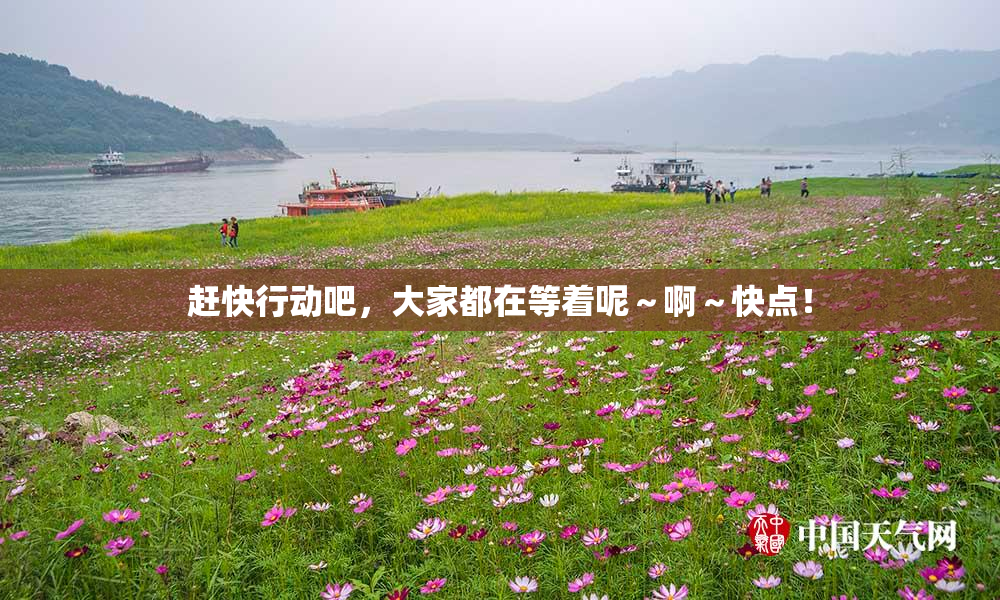 赶快行动吧，大家都在等着呢～啊～快点！