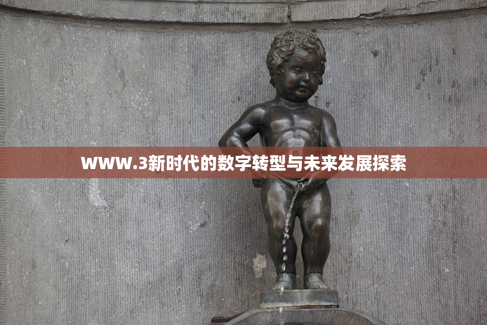 WWW.3新时代的数字转型与未来发展探索