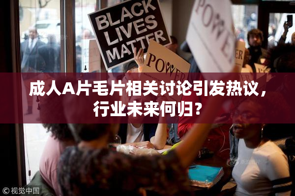 成人A片毛片相关讨论引发热议，行业未来何归？