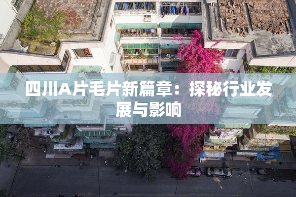 四川A片毛片新篇章：探秘行业发展与影响