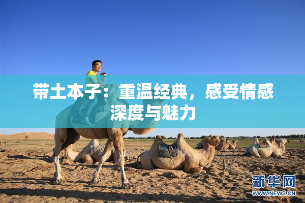 带土本子：重温经典，感受情感深度与魅力