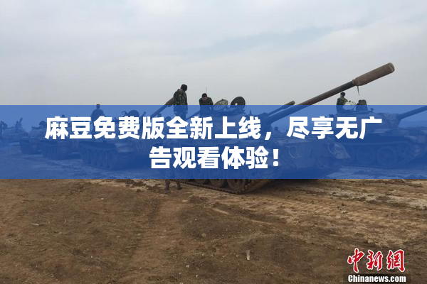 麻豆免费版全新上线，尽享无广告观看体验！