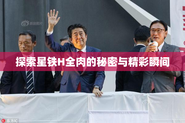 探索星铁H全肉的秘密与精彩瞬间