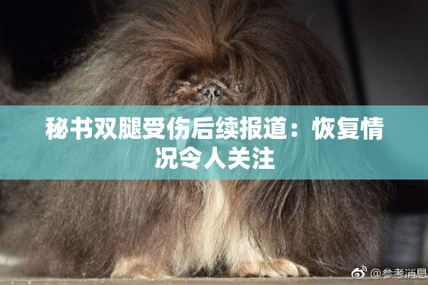 秘书双腿受伤后续报道：恢复情况令人关注