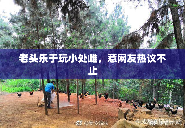 老头乐于玩小处雌，惹网友热议不止