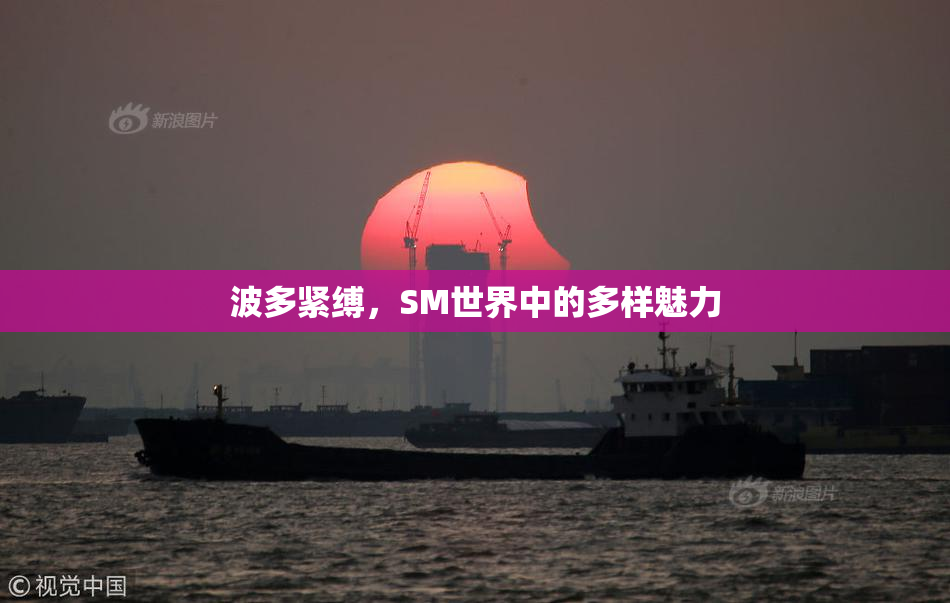 波多紧缚，SM世界中的多样魅力