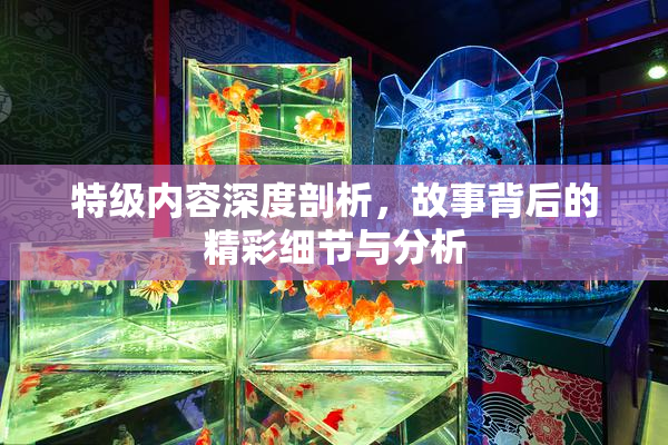 特级内容深度剖析，故事背后的精彩细节与分析