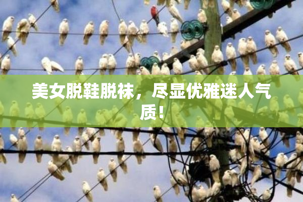 美女脱鞋脱袜，尽显优雅迷人气质！