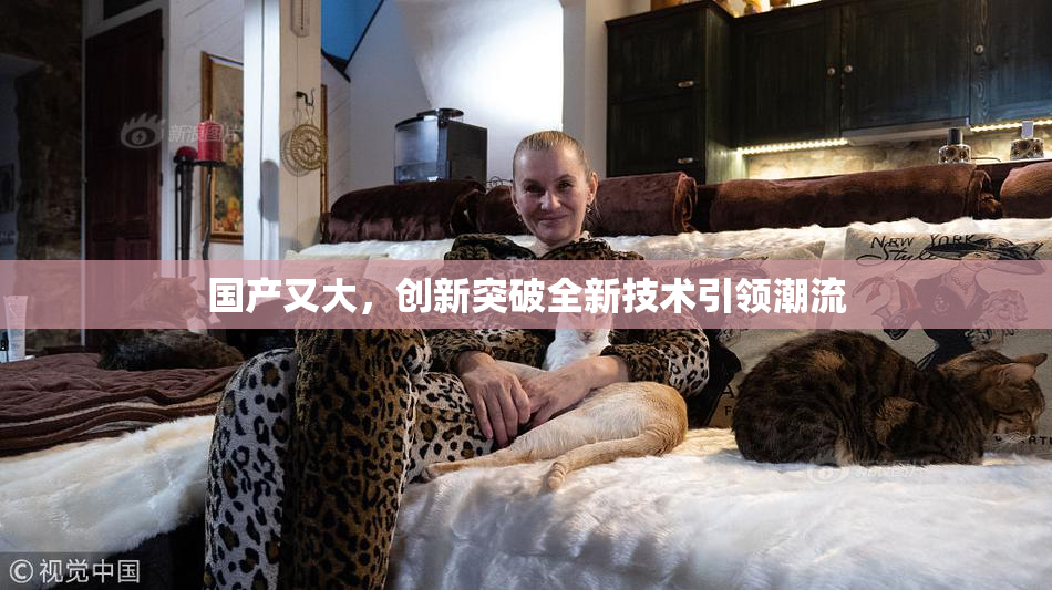 国产又大，创新突破全新技术引领潮流