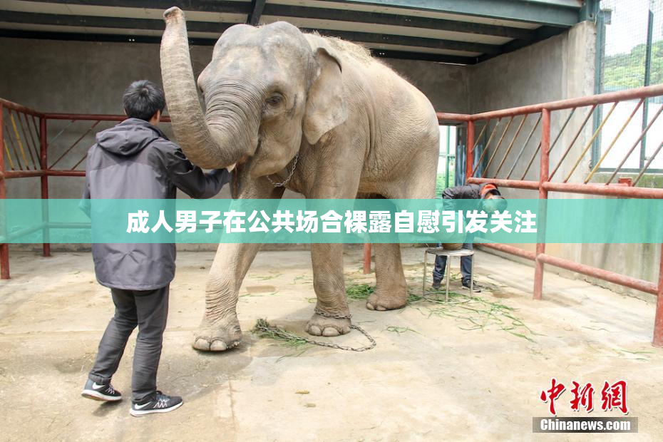 成人男子在公共场合裸露自慰引发关注