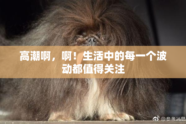 高潮啊，啊！生活中的每一个波动都值得关注