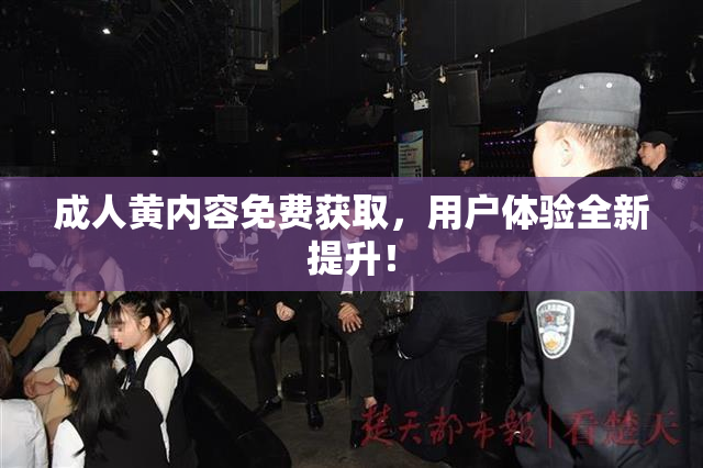 成人黄内容免费获取，用户体验全新提升！