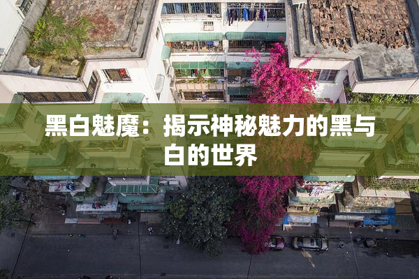 黑白魅魔：揭示神秘魅力的黑与白的世界