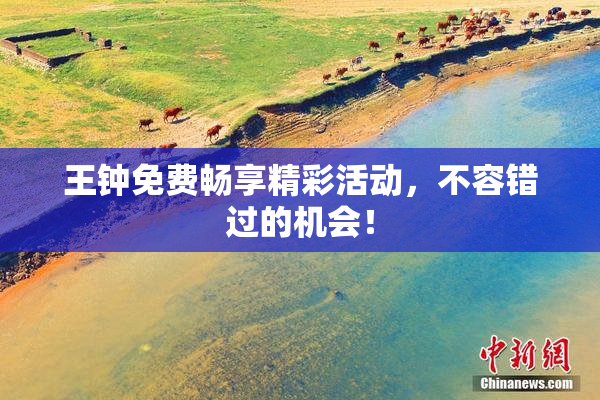 王钟免费畅享精彩活动，不容错过的机会！
