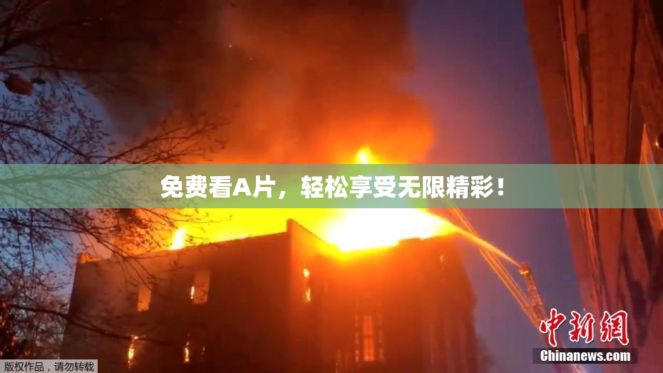 免费看A片，轻松享受无限精彩！
