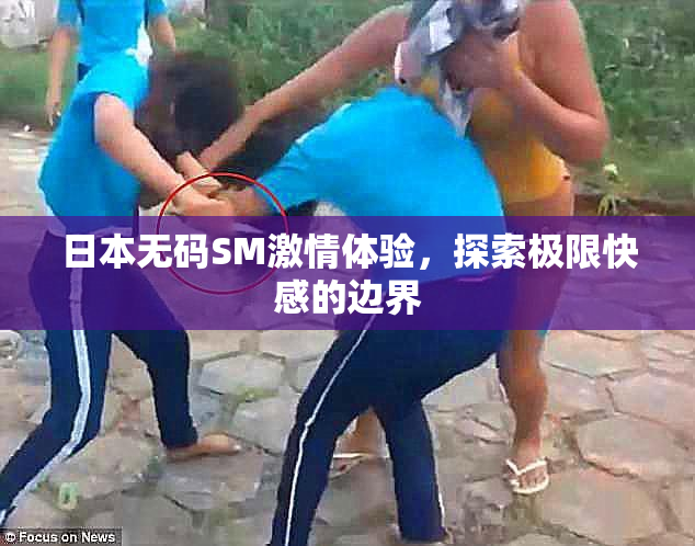 日本无码SM激情体验，探索极限快感的边界