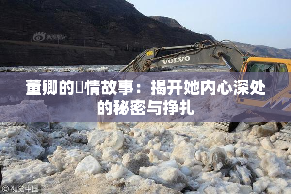 董卿的婬情故事：揭开她内心深处的秘密与挣扎