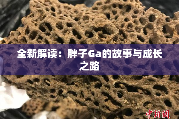 全新解读：胖子Ga的故事与成长之路