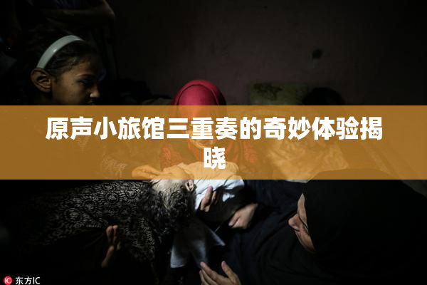 原声小旅馆三重奏的奇妙体验揭晓