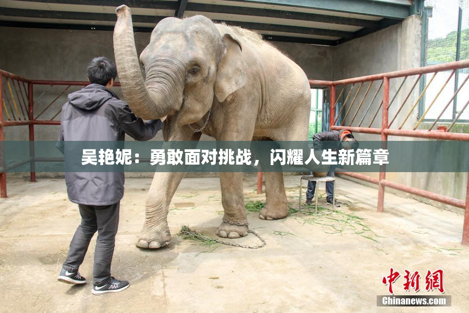 吴艳妮：勇敢面对挑战，闪耀人生新篇章