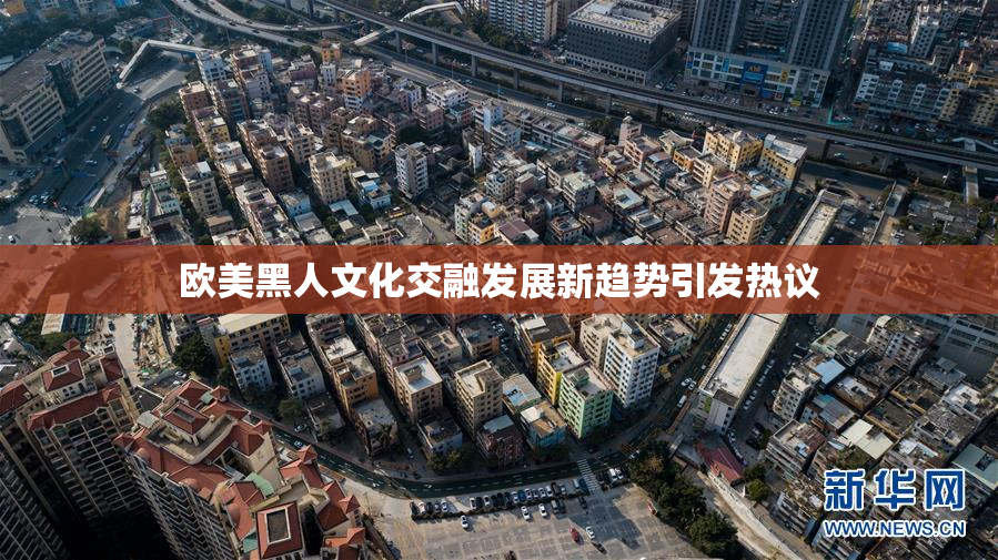 欧美黑人文化交融发展新趋势引发热议